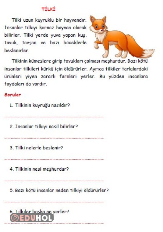 Tilki Kısa Okuma Anlama Metn Eduhol Ders Videoları İzle Online