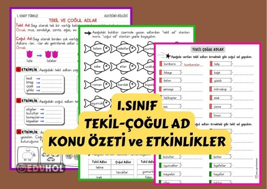 1 Sınıf Tekil Ve Çoğul Adlar K Eduhol Etkinlik İndir Oyun Oyna