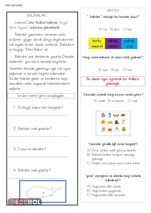 2 Sınıf Türkçe Tekrar 14 Eduhol Ders Videoları İzle Online Test