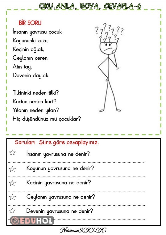 Oku Anla Boya Cevapla 6 Eduhol Ders Videoları İzle Online Test Çöz