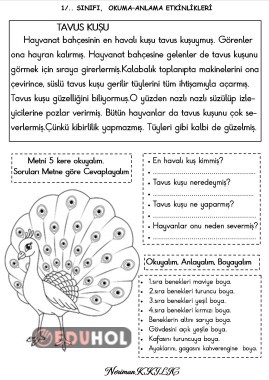 V Sesi Eduhol Etkinlik Ndir Oyun Oyna Test Z Video Zle