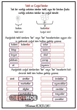 Tekil Ve O Ul Simler Eduhol Etkinlik Ndir Oyun Oyna Test Z