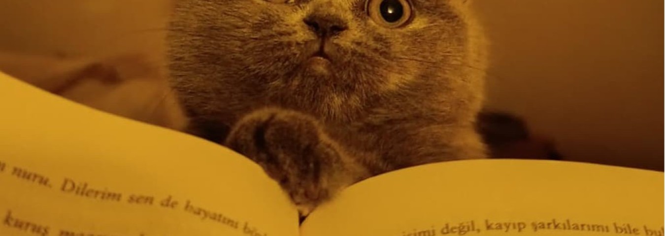 Buket Zeynep Yoldaş