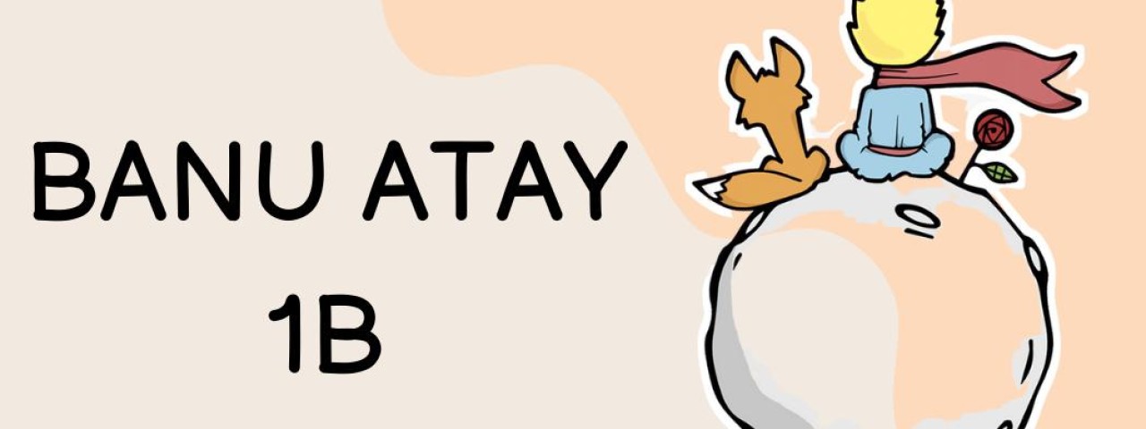 Banu Atay