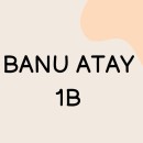Banu Atay