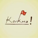 Mehmet Salih Çelikten