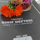 Pinar Ogretmeenn