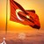 Muhammed Fidan Muhammed Fidan