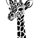 Nurcankurt Sınıfı