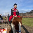 Miraç Aras Güngör