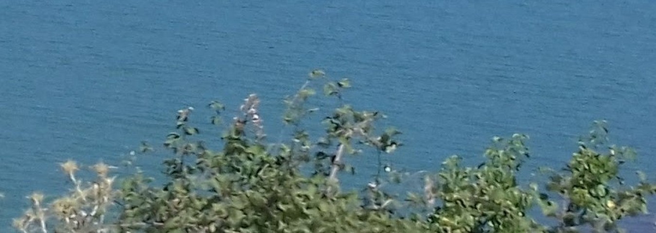 Sınıfçı Etkinlik