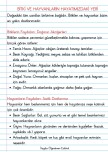 BİTKİ VE HAYVANLARIN HAYATIMIZDAKİ YERİ