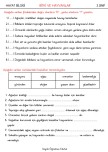 Bitki ve Hayvanların  Hayatımızdaki Yeri