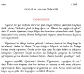 Hayat Bilgisi Canım Ülkem Okuma Anlama Metni