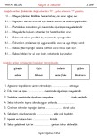 Meyve ve Sebzeler Çalışma Kağıdı