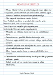 MEYVELER VE SEBZELER