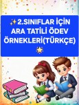 ÖDEV ÖRNEKLERİ🌟✨️
