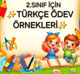 TÜRKÇE ÖDEVLERİ ✨️📗