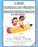 1. SINIF HAZİRAN AYI TÜRKİYE GENELİ DENEME SINAVI (YIL SONU GENEL DEĞERLENDİRME)