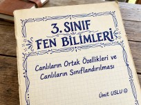 Etkinlik Canlıların Ortak Özellikleri & Sınıflandırma
