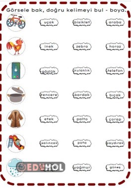 Görsele bak - doğru kelimeyi bul