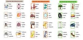 Görsele bak - doğru kelimeyi bul