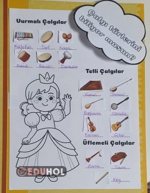 2.sınıf Müzik - Çalgı Türleri