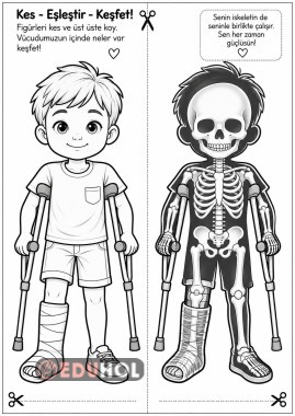 Xray vücudumuz