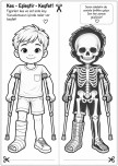 Xray vücudumuz
