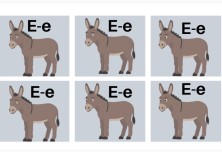 E sesi defter etkinliği