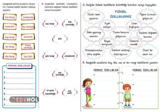 2.SINIF FİZİKSEL ÖZELLİKLERİMİZ-1