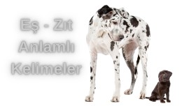 3. Sınıf Eş-Zıt Anlamlı Kelimeler