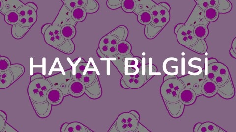 Hayat Bilgisi