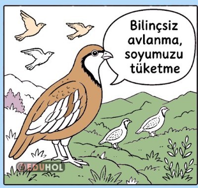 HAYVANLARI KORUMA GÜNÜ BOYAMA