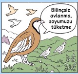 HAYVANLARI KORUMA GÜNÜ BOYAMA