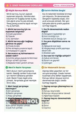 2.sınıf paragraf soruları - okuma-anlama test