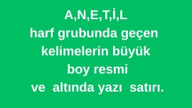 A,N,E,T,İ,L harf grubunda geçen  kelimelerin büyük  boy resmi  ve  altında yazı  satırı.
