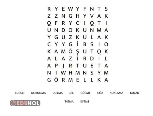 3.SINIF FEN BİLİMLERİ DUYU ORGANLARI BULMACA