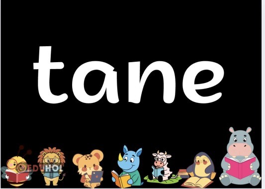 T sesi okuma egzersizi