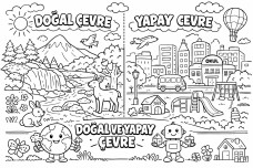 DOĞAL VE YAPAY ÇEVRE BOYAMA