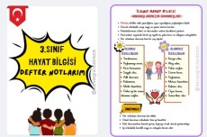 3.SINIF HAYAT BİLGİSİ ARKADAŞLARIMIZIN DAVRANIŞLARI