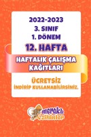 MERAKLI ZİHİNLER 3. SINIF 12. HAFTA ÇALIŞMALARI