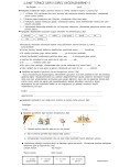 TÜRKÇE DERSİ SÜREÇ DEĞERLENDİRME-5