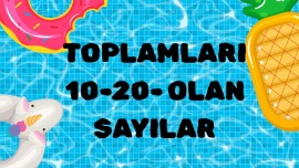 TOPLAMLARI 10-20 OLAN SAYILAR