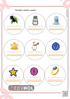 Z Sesi Çalışmaları