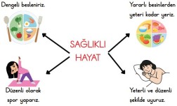 Sağlıklı Hayat İnteraktif Defter Etkinliği 1.Sınıf