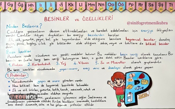 4. Sınıf 6. Hafta Ders Notları