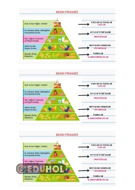 4. SINIF BESİN PİRAMİDİ