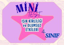 4.SINIF IŞIK KİRLİLİĞİ VE OLUMSUZ ETKİLERİ MİNİ TEST