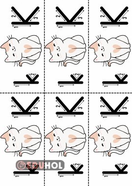 K sesi defter çalışması